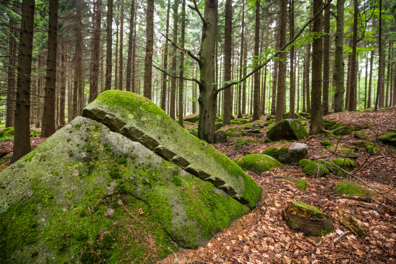 Kamenné moře Geopark Vysočina