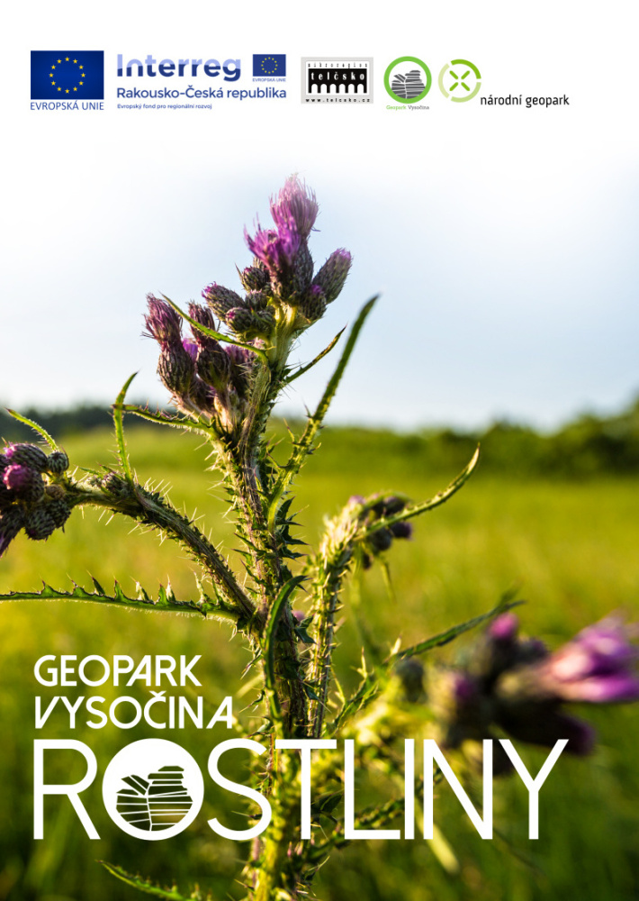 Rostliny geoparku Vysočina